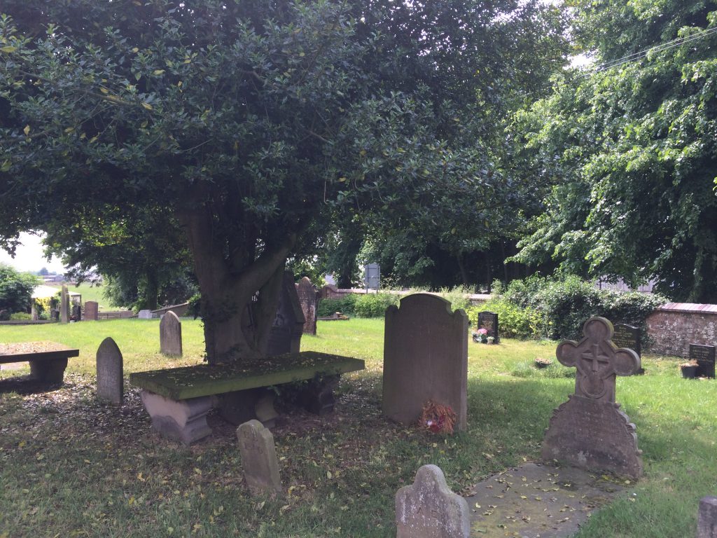 Helen Macfarlane grave